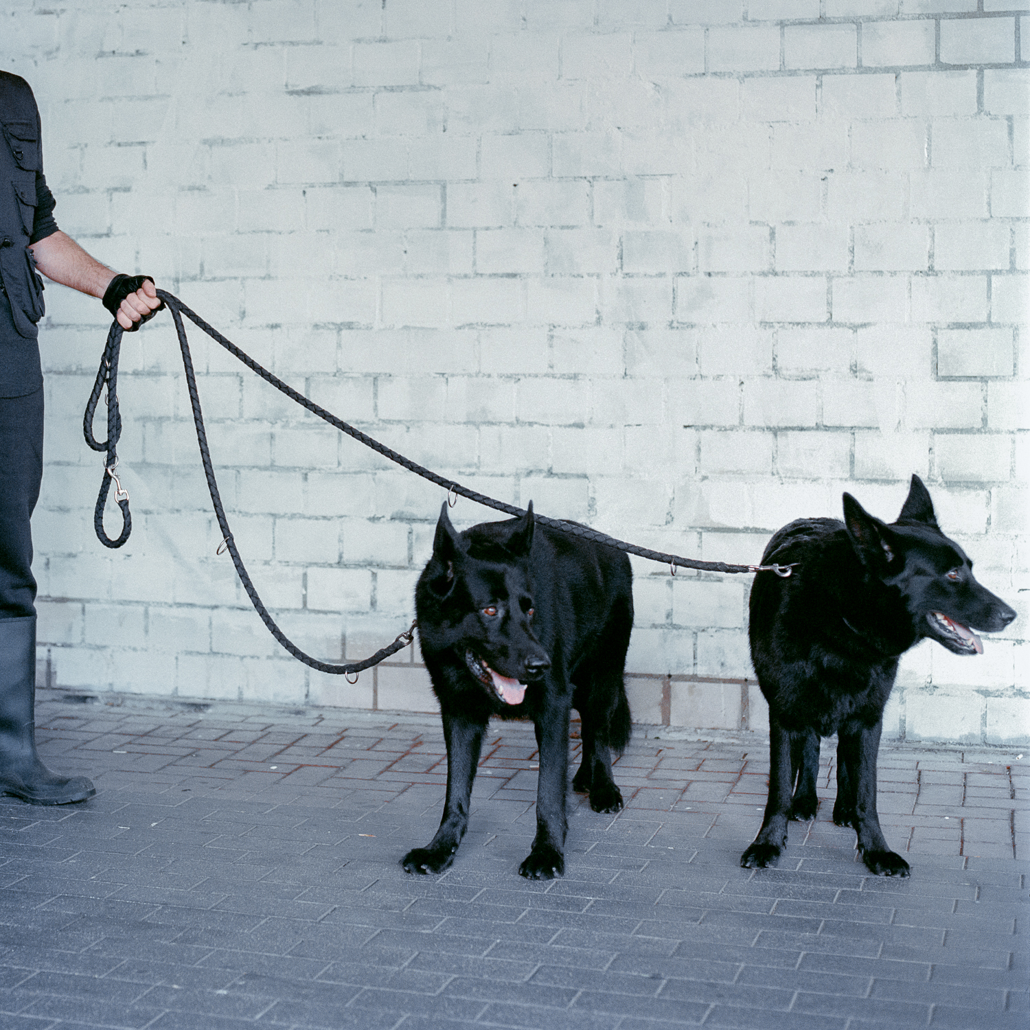 Armin posiert mit seinen beiden Hunden für ein Portrait im Durchgang an der Spinnereistraße. Jeden Tag führt er die beiden über das Gelände des Ihme-Zentrums spazieren.